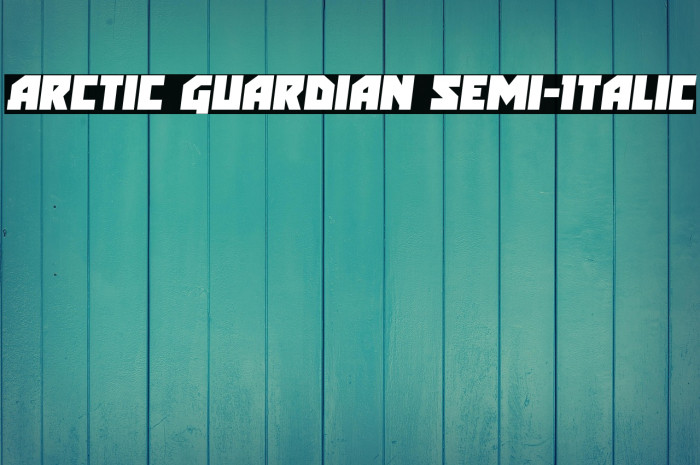 Arctic Guardian Semi-Italic Example 2