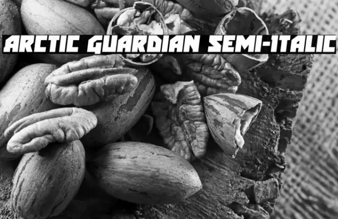 Arctic Guardian Semi-Italic Font examples