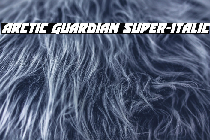 Arctic Guardian Super-Italic Example 1
