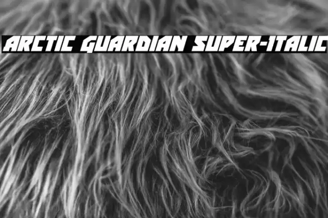 Arctic Guardian Super-Italic Font examples