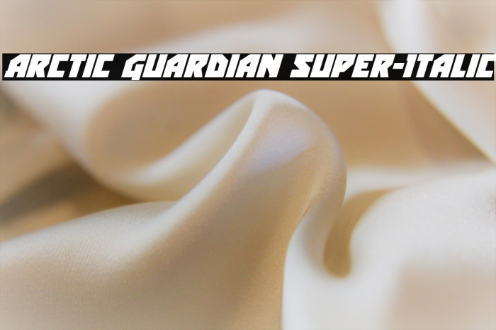 Arctic Guardian Super-Italic Example 2