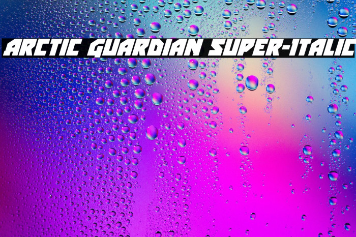 Arctic Guardian Super-Italic Example 3