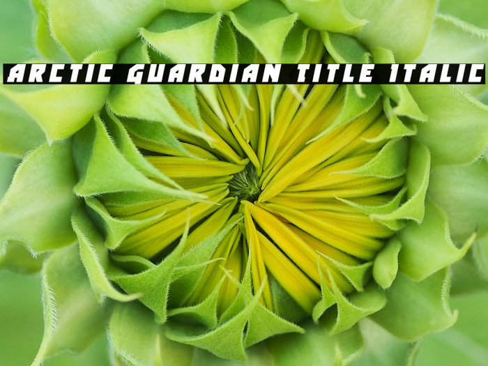 Arctic Guardian Title Italic Example 1