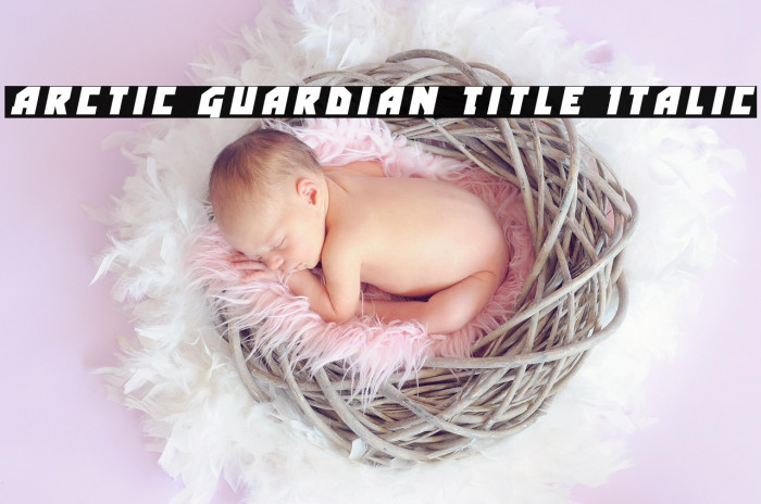 Arctic Guardian Title Italic Example 3