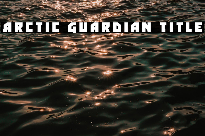 Arctic Guardian Title Example 1