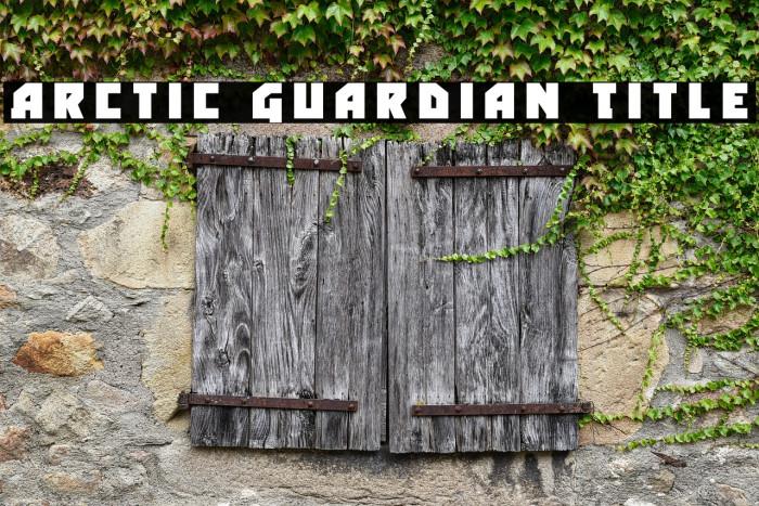 Arctic Guardian Title Example 2