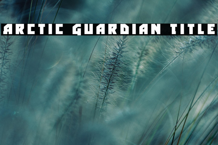 Arctic Guardian Title Example 3