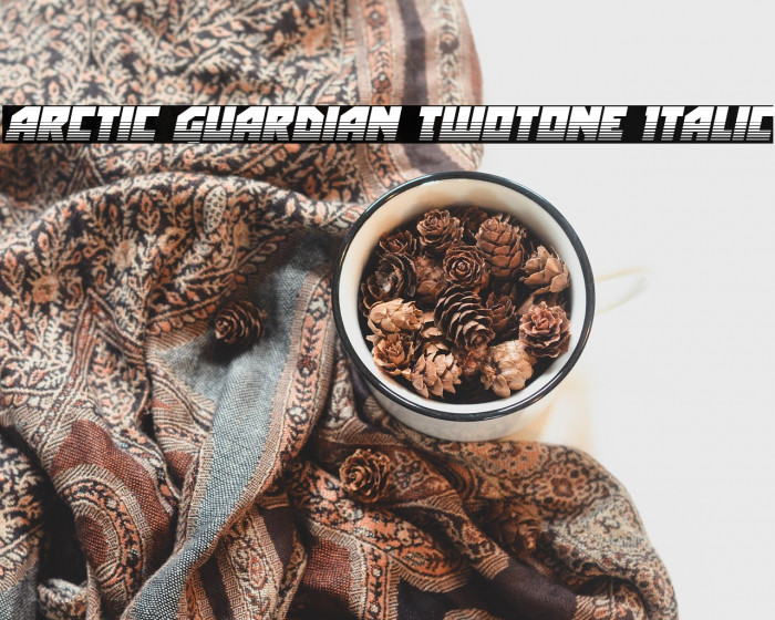 Arctic Guardian Twotone Italic Example 1
