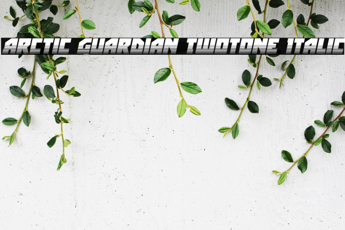 Arctic Guardian Twotone Italic Example 2