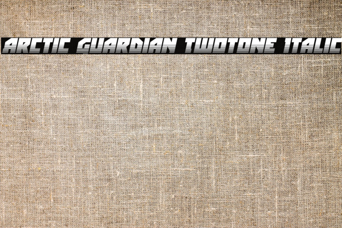 Arctic Guardian Twotone Italic Example 3