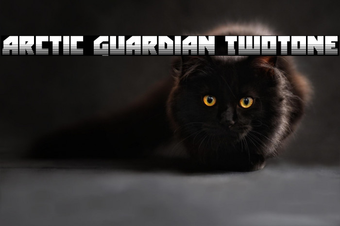 Arctic Guardian Twotone Example 1