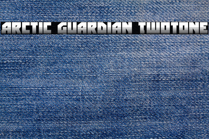 Arctic Guardian Twotone Example 2