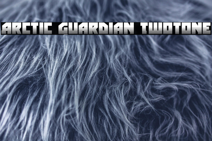 Arctic Guardian Twotone Example 3