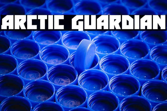 Arctic Guardian Example 2