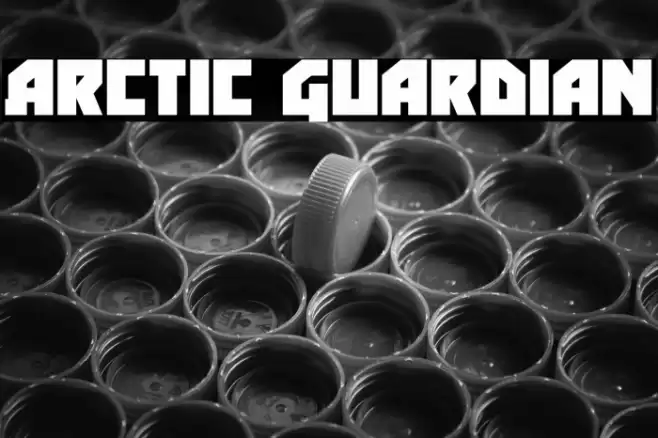 Arctic Guardian Font examples