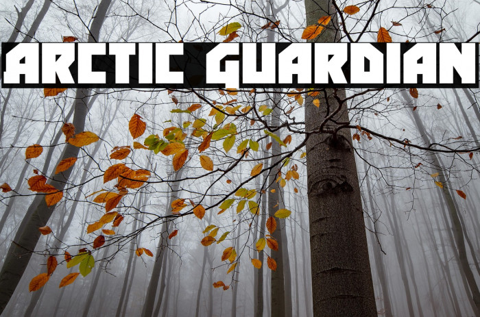 Arctic Guardian Example 3