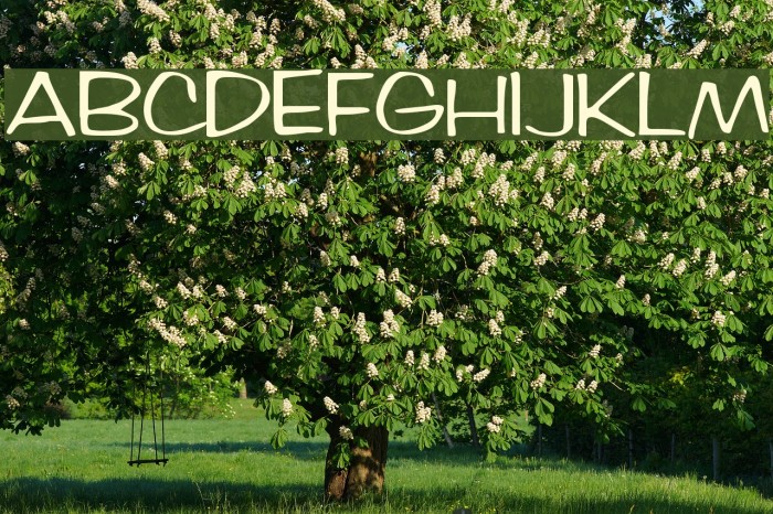 Arctic Regular Font examples