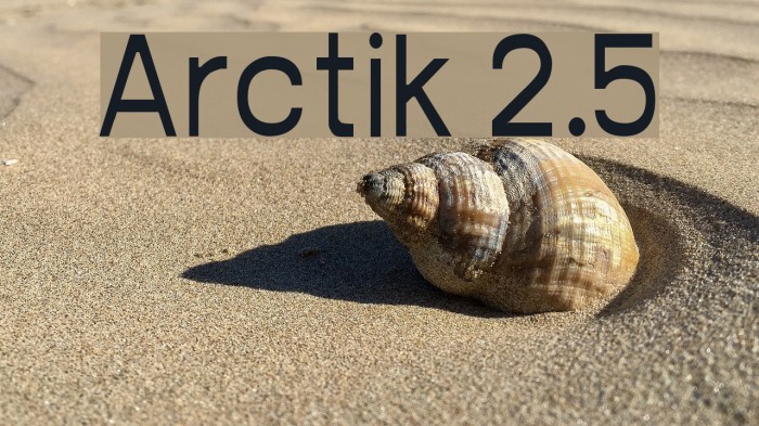Arctik 2.5 Font examples