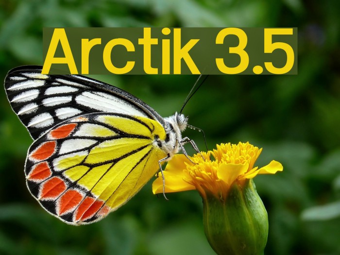 Arctik 3.5 Fonte examples