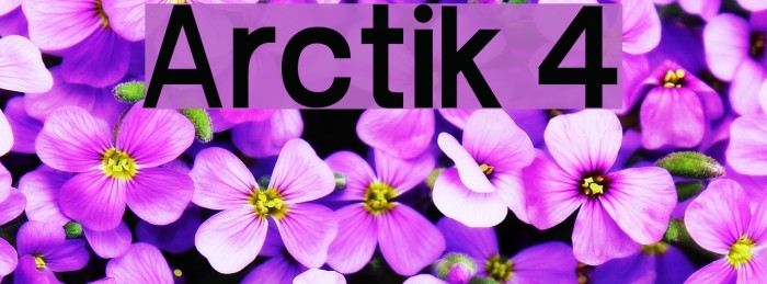 Arctik 4 Font examples