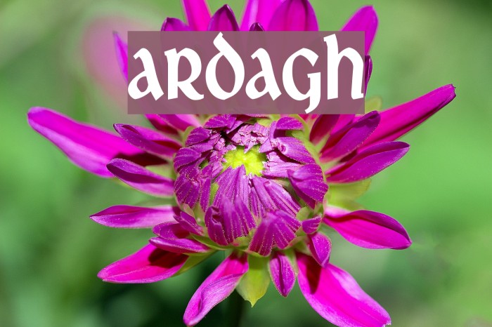 Ardagh 字体 examples