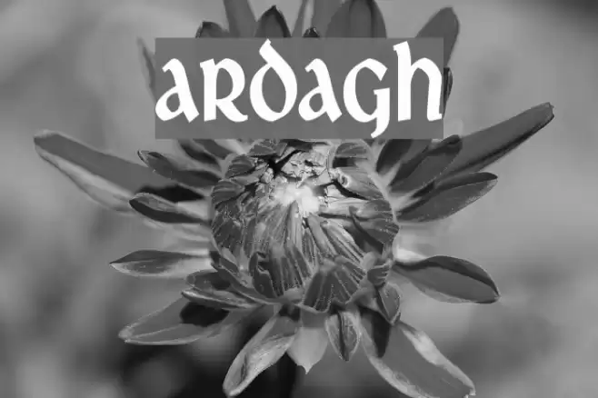 Ardagh Font examples