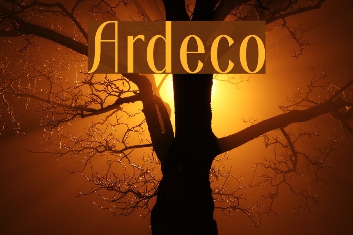 Ardeco Font examples