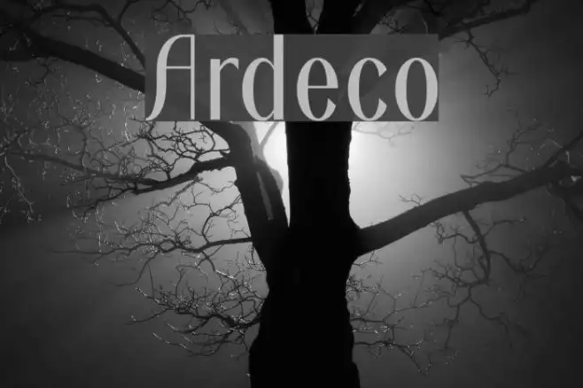 Ardeco Example 2