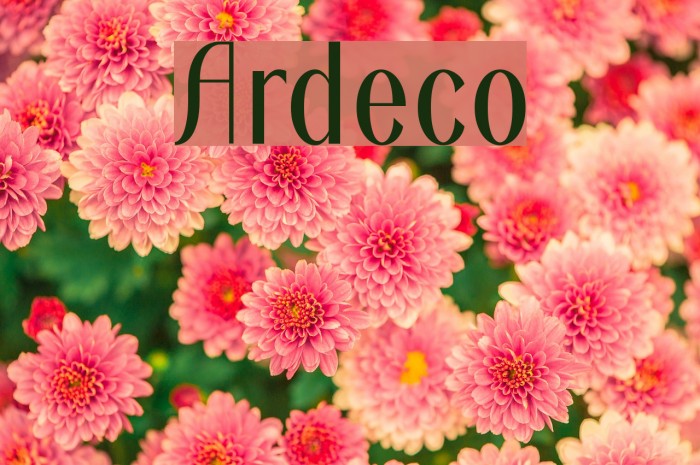 Ardeco Font - FFonts.net