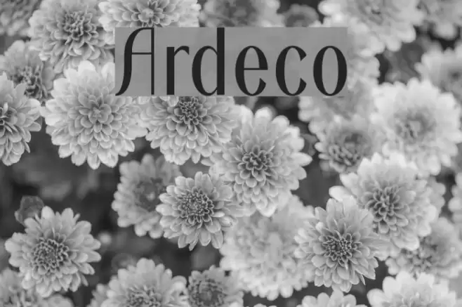 Ardeco Font examples