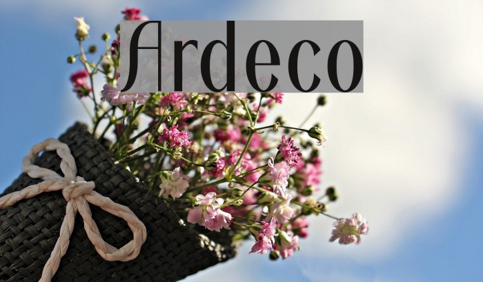 Ardeco Example 3