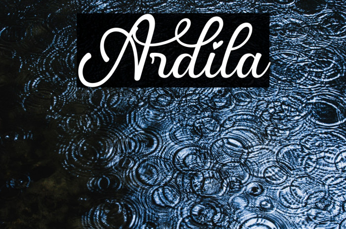 Ardila Example 1