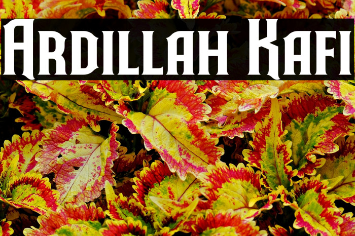 Ardillah Kafi Example 2