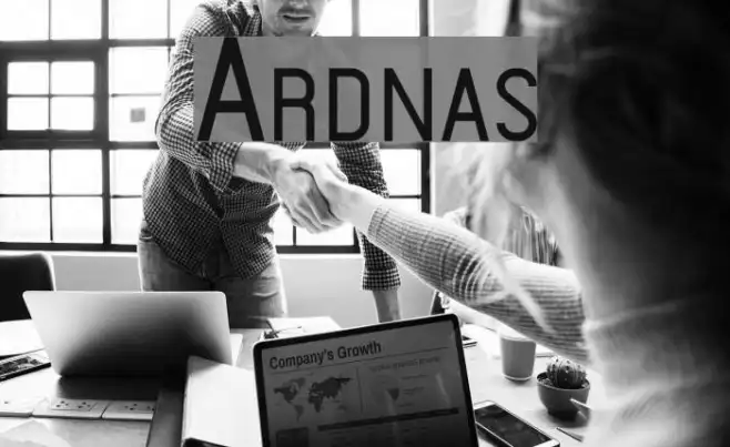 Ardnas Example 1