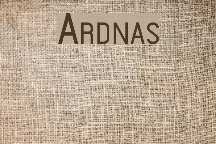 Ardnas Font examples