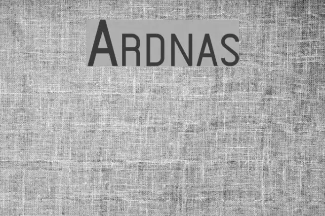 Ardnas Example 3