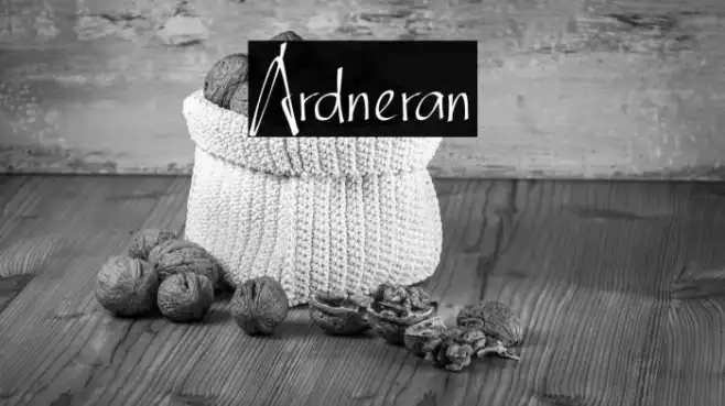 Ardneran Example 3