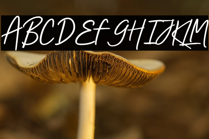 Ardolint Tijza Example 1