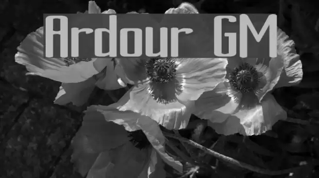 Ardour GM Font examples