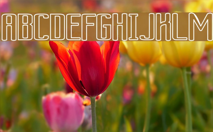 Ardour Outline Font examples