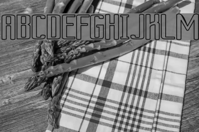 Ardour Outline フォント examples