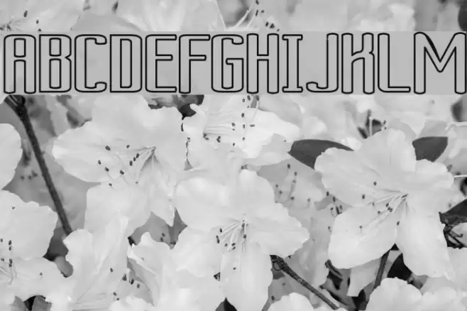 Ardour Outline フォント examples