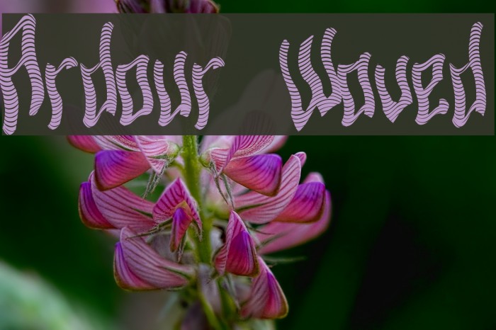 Ardour Waved Font examples