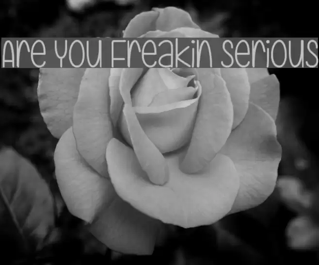 Are You Freakin Serious Font examples