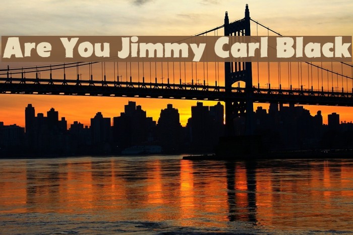 Are You Jimmy Carl Black Example 1