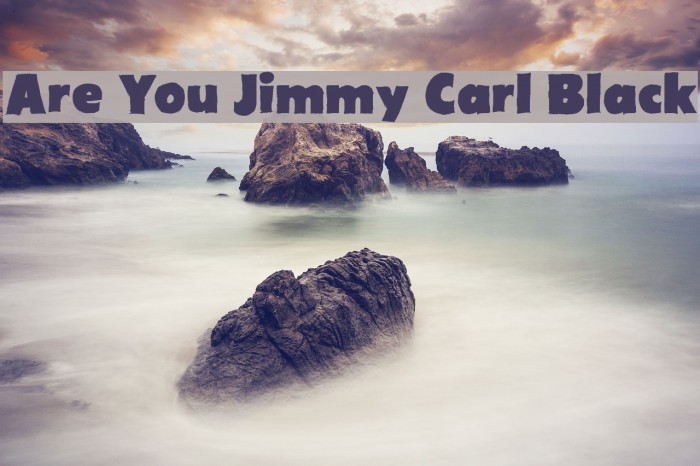 Are You Jimmy Carl Black Example 2