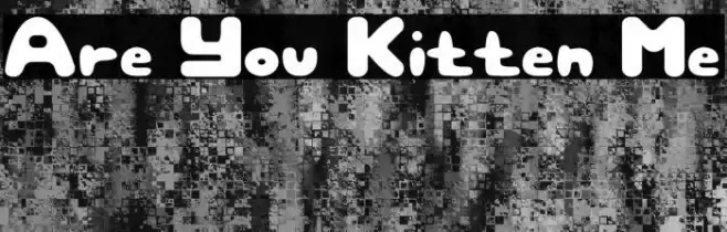 Are You Kitten Me Example 1