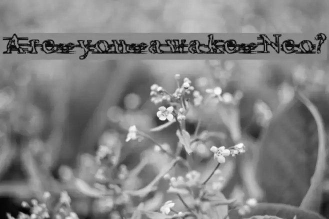 Are you awake Neo? Font examples