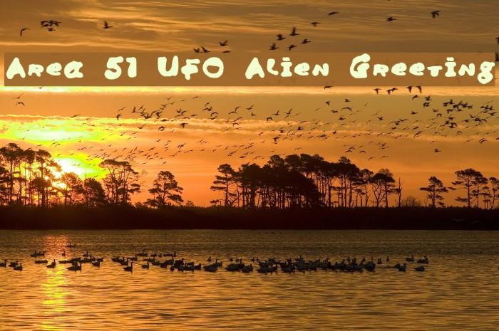 Area 51 UFO Alien Greeting Font examples