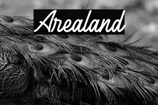 Arealand Font examples